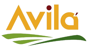 Avila Foods Ltd African Catering Berkshire Reading